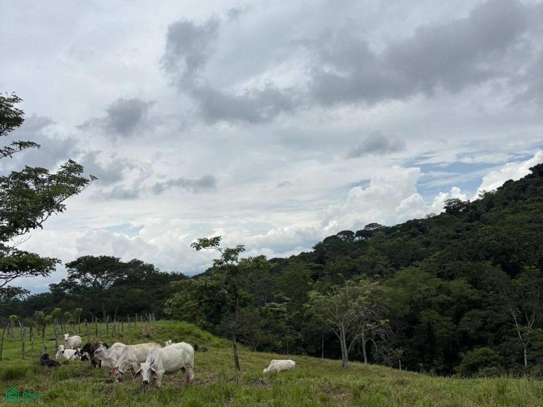 Terreno en Ciudad Colón, San José, Costa Rica 3 - 17814547