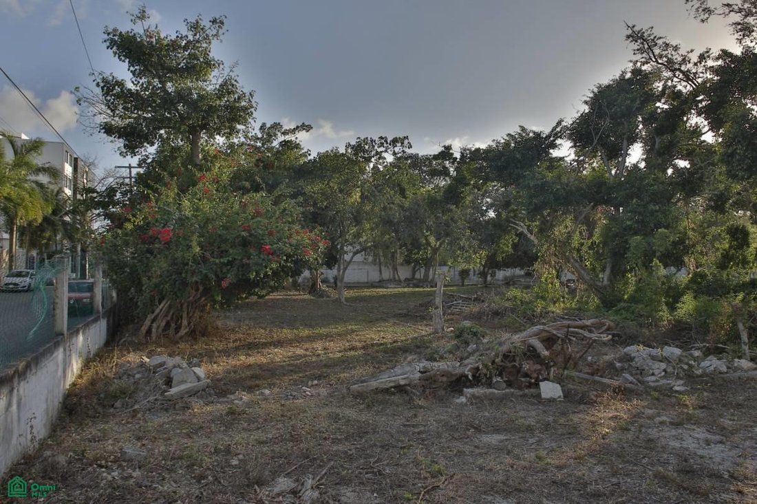 Terreno en Playa del Carmen, Quintana Roo, México 5 - 17811429