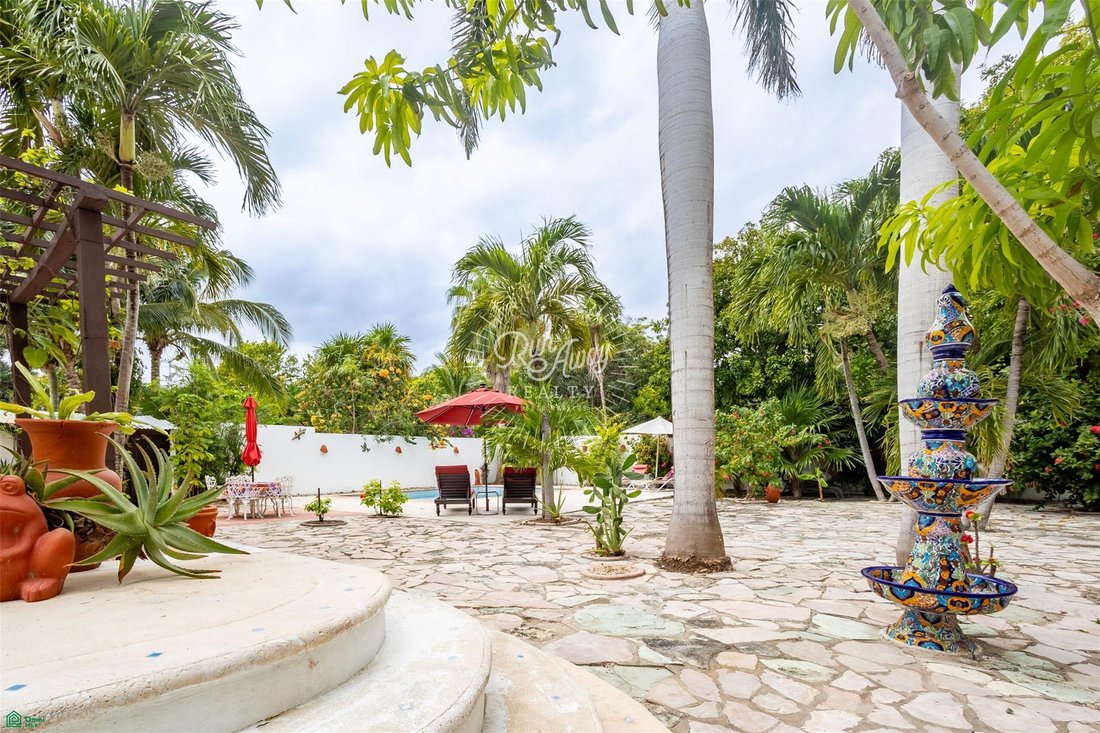 House in Puerto Morelos, Quintana Roo, Mexico 3 - 18477634