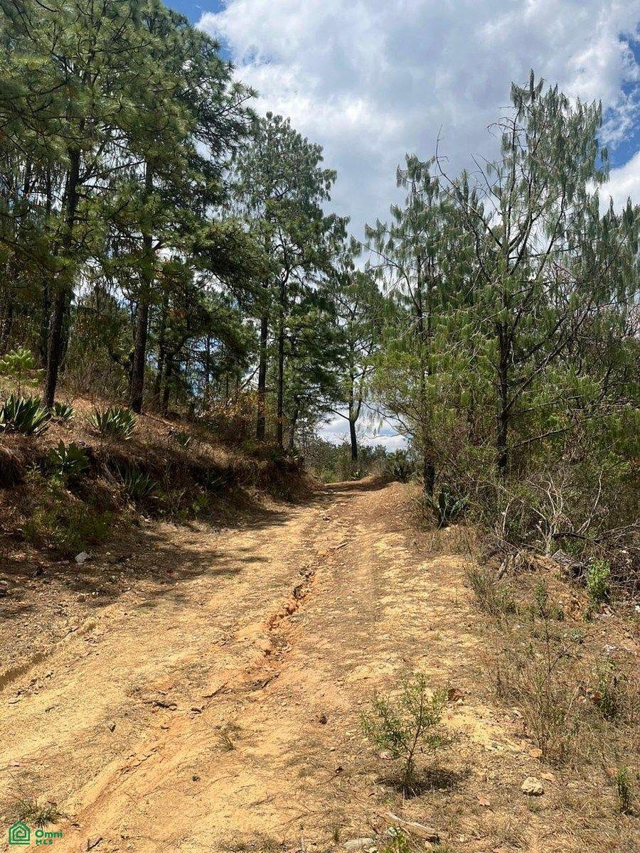 Land in Las Piedrotas, Jalisco, Mexiko 2 - 17810825
