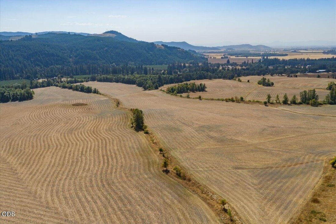 Azienda agricola a Brownsville, Oregon, Stati Uniti 1 - 18718073