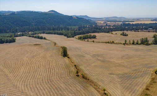 Farm Ranch in Brownsville, Oregon, Vereinigte Staaten 1