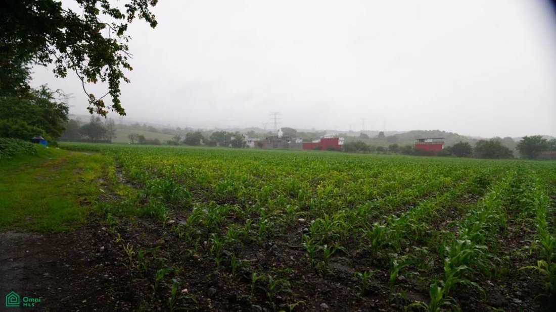 Land in Chilpancingo, Guerrero, Mexiko 3 - 17811104