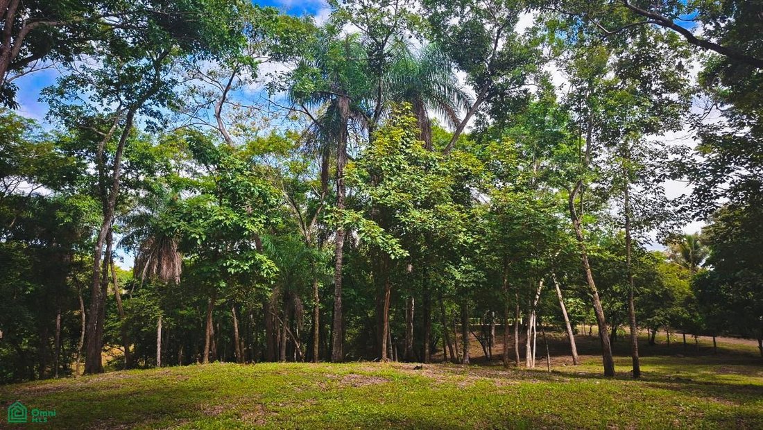 Land in Tárcoles, Garabito, Costa Rica 1 - 18697632