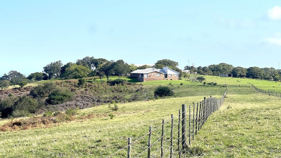 Azienda agricola a Municipalità locale di George, Provincia del Capo Occidentale, Sudafrica 5 - 18718339
