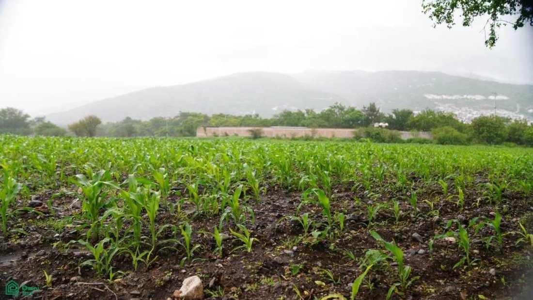 Land in Chilpancingo, Guerrero, Mexiko 5 - 17811104