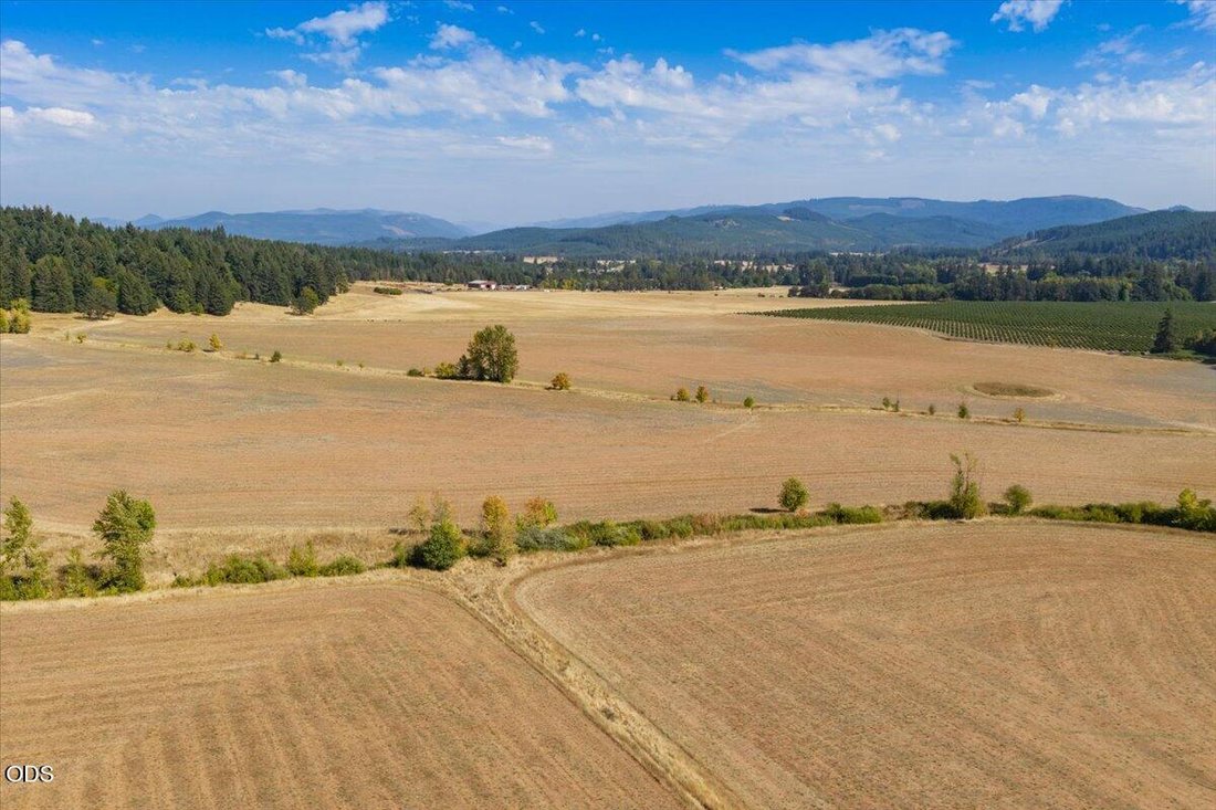 Azienda agricola a Brownsville, Oregon, Stati Uniti 4 - 18718073