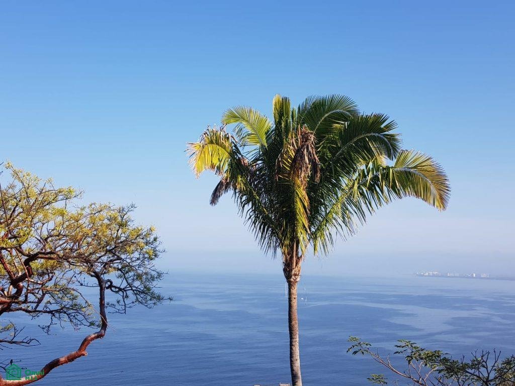 Land in Puerto Vallarta, Jalisco, Mexiko 1 - 17815092