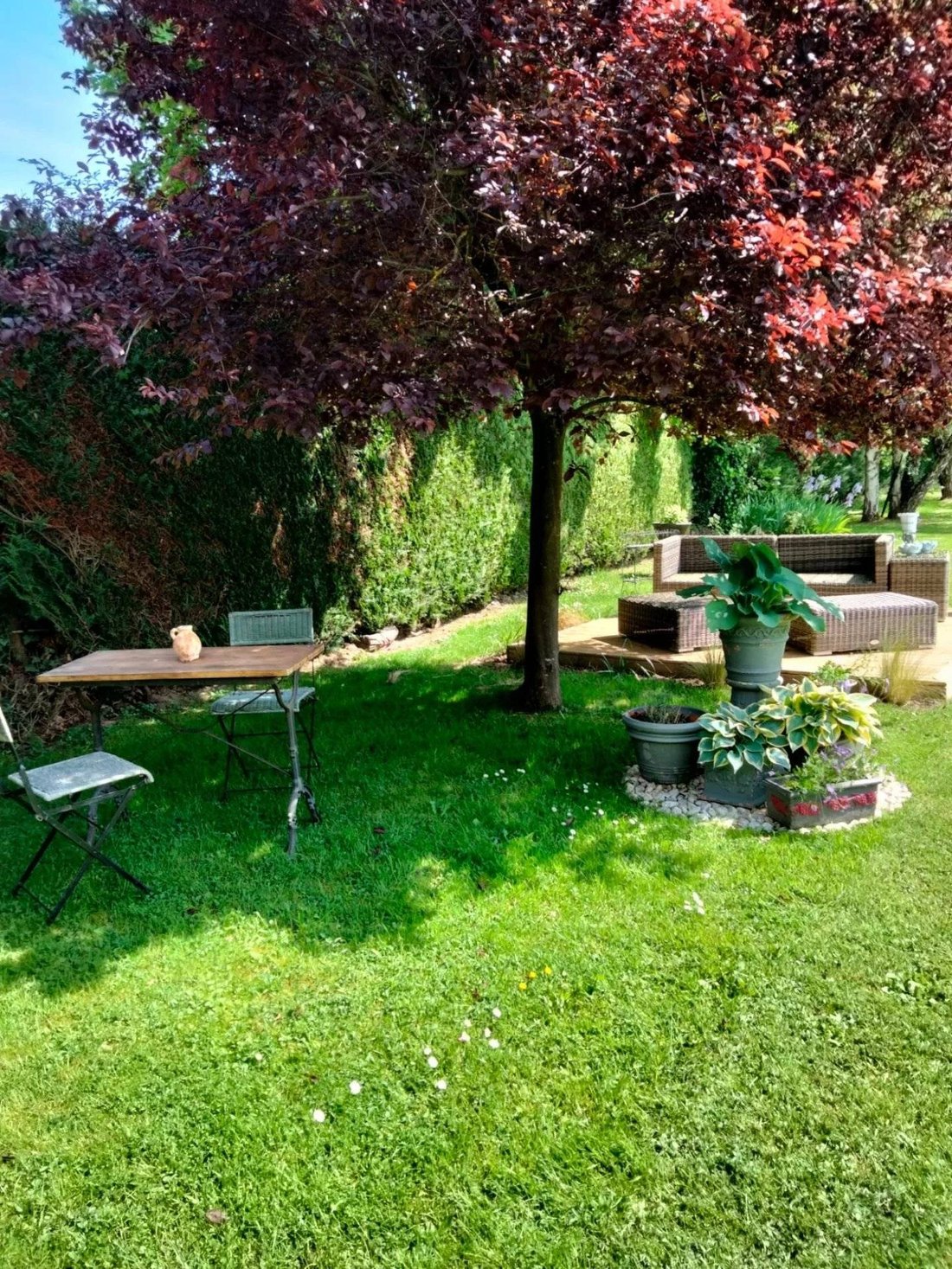 House in Boissy-sans-Avoir, Ile-de-France, France 2 - 16609326