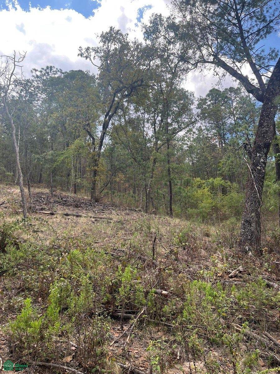 Land in Los Espinos, Jalisco, Mexiko 4 - 17810826