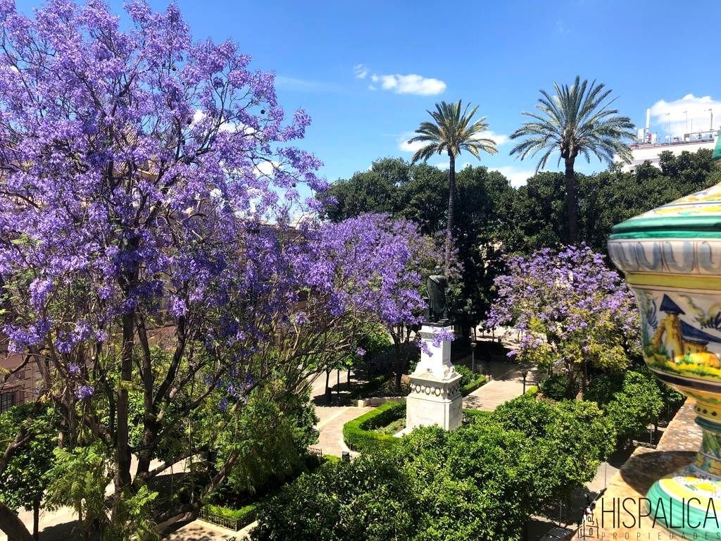 Villa en Triana, Sevilla, España 4 - 10828809