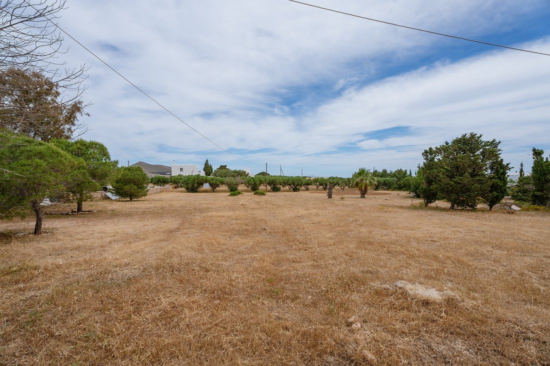 Land in Paros, Aegean, Greece 2 - 18716253