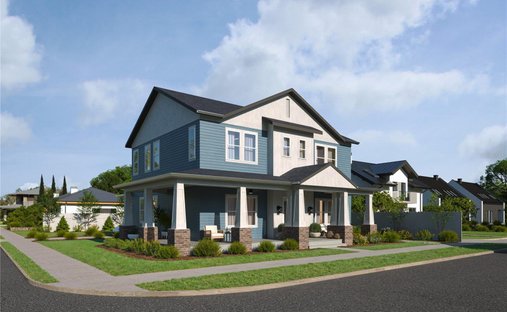 House in Tampa, Florida, United States 1