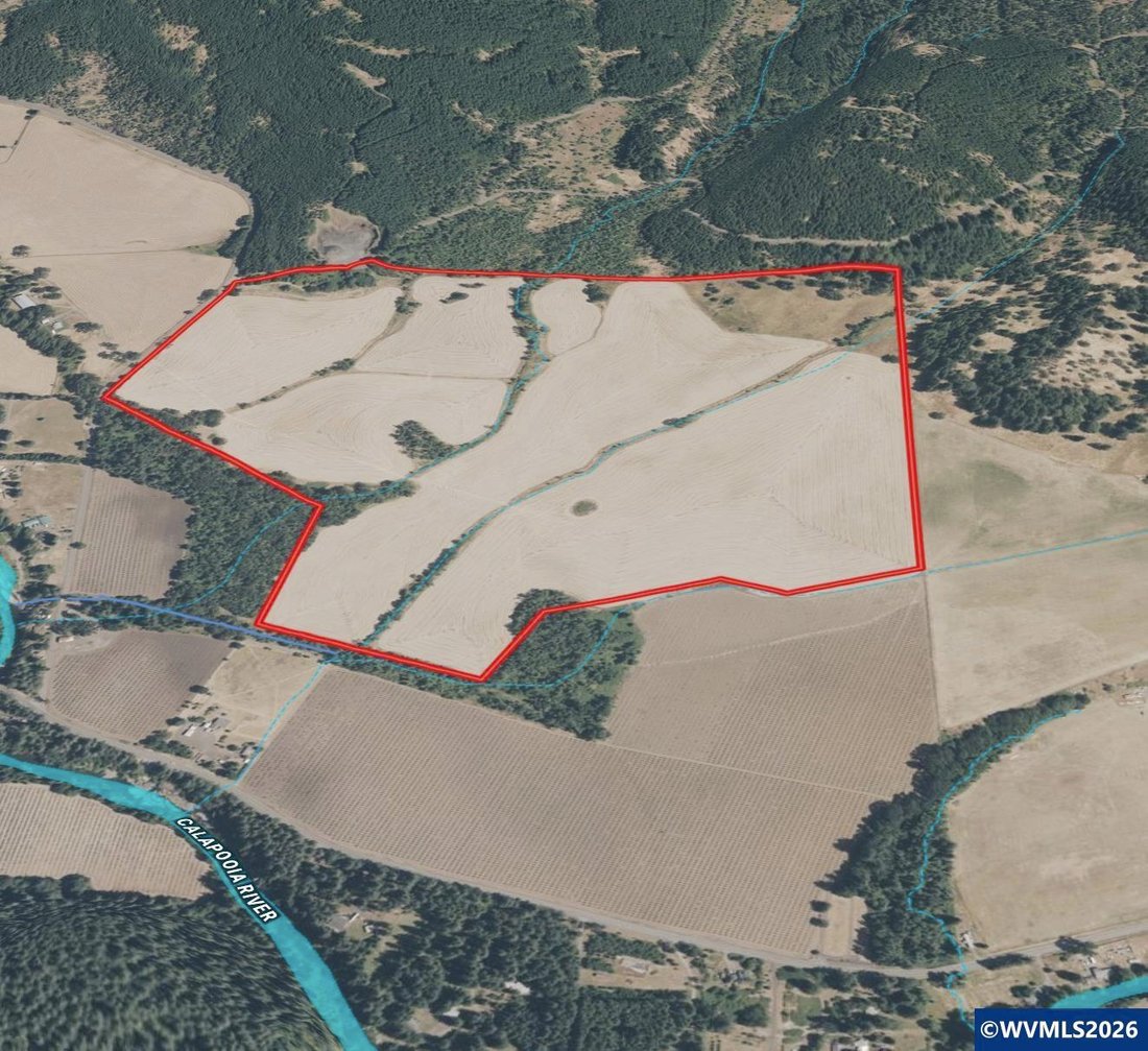 Terrain à Brownsville, Oregon, États-Unis 3 - 18718037