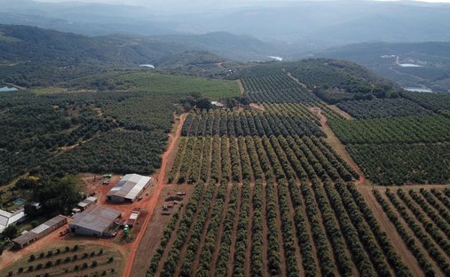 Azienda agricola a Hazyview, Mpumalanga, Sudafrica 1