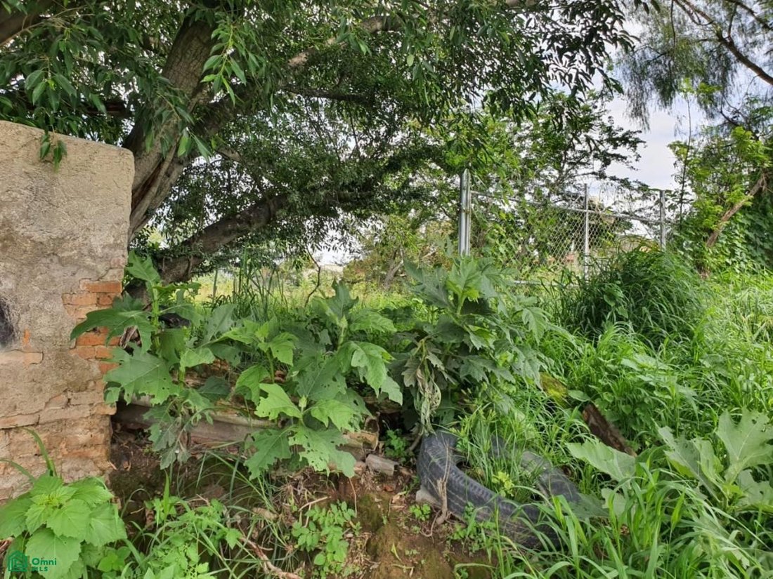 Land in Tonalá, Jalisco, Mexico 2 - 18340201