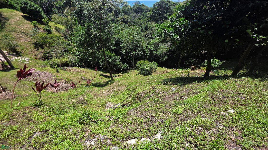 Land in Quepos, Puntarenas Province, Costa Rica 3 - 18340168