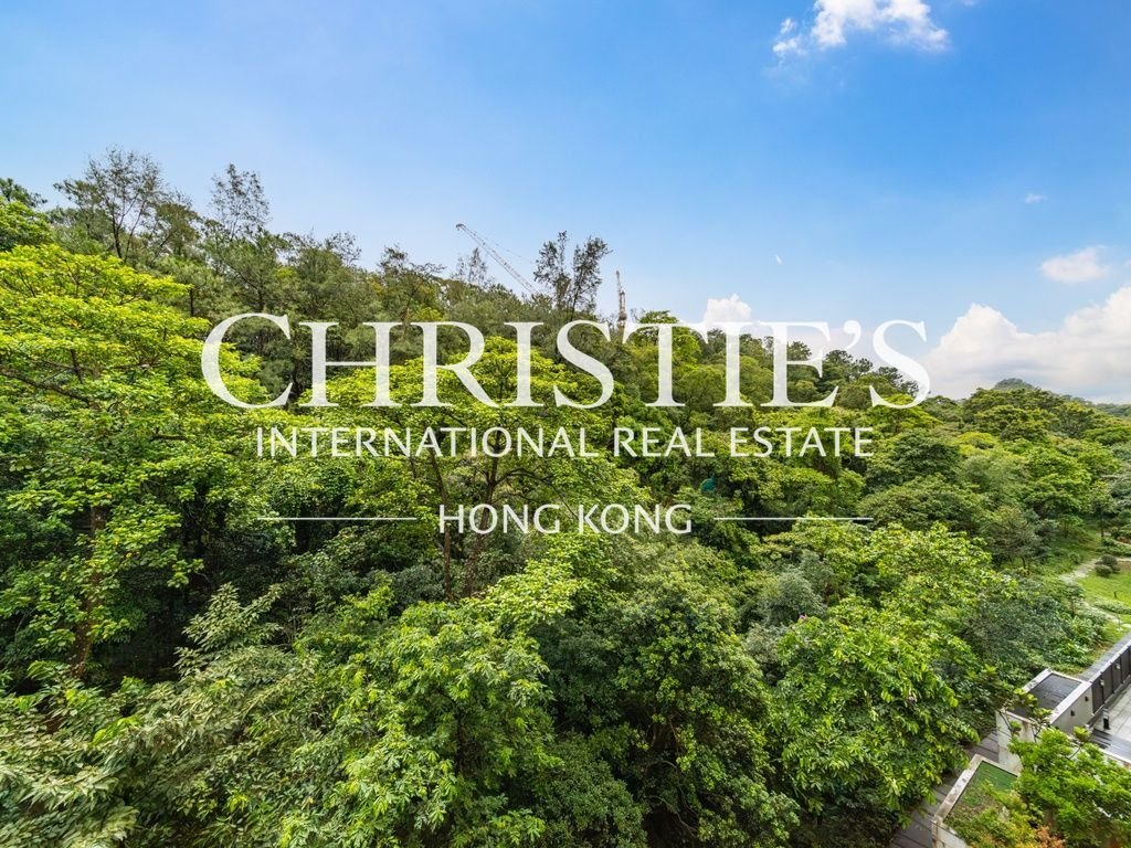 Altro a Hong Kong, Hong Kong 1 - 18717758