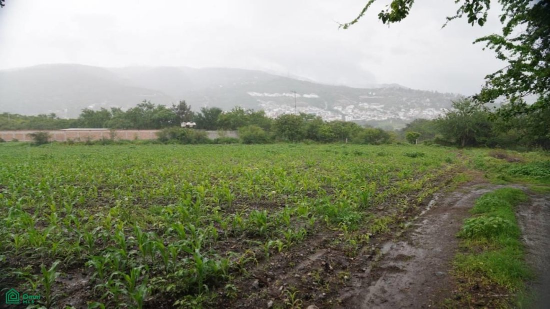 Land in Chilpancingo, Guerrero, Mexiko 4 - 17811104