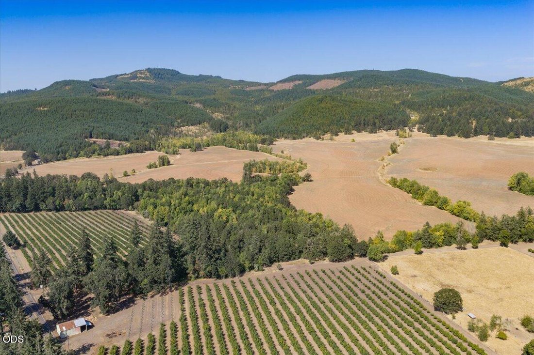Azienda agricola a Brownsville, Oregon, Stati Uniti 5 - 18718073