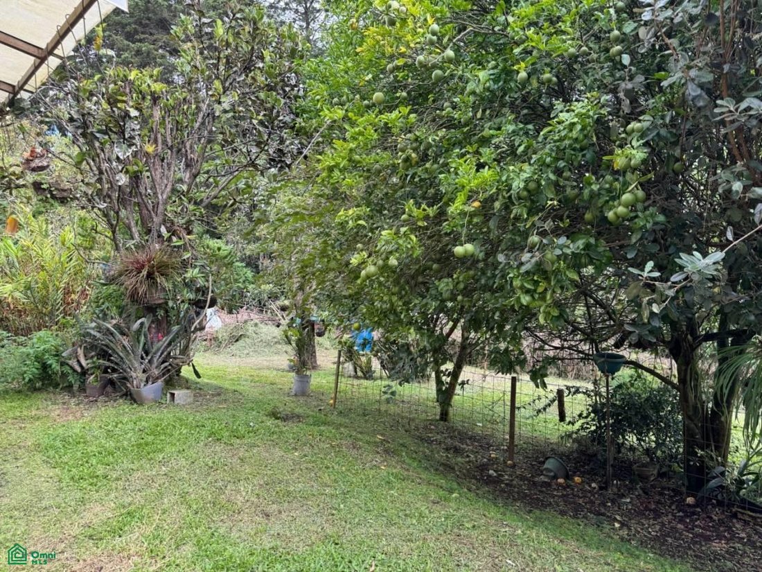 House in Mata de Plátano, San José Province, Costa Rica 3 - 17232811