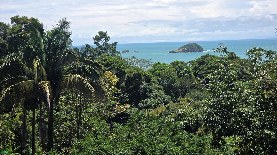 Land in Quepos, Puntarenas Province, Costa Rica 5 - 18340168