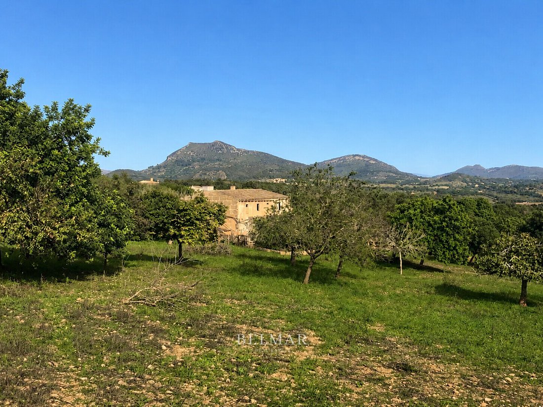 Finca in Manacor, Balearic Islands, Spain 1 - 18716775