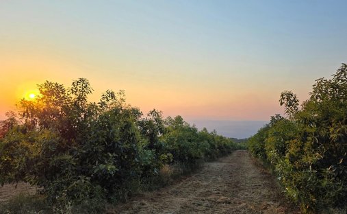 Farm Ranch in Hazyview, Mpumalanga, South Africa 1