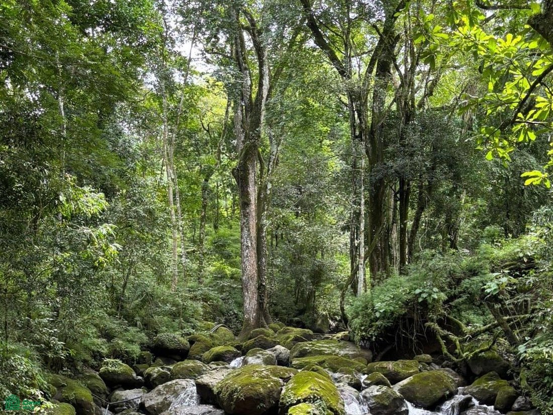 Terreno en Ciudad Colón, San José, Costa Rica 2 - 17814547