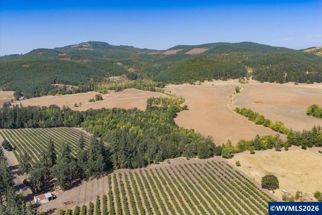 Terrain à Brownsville, Oregon, États-Unis 5 - 18718037