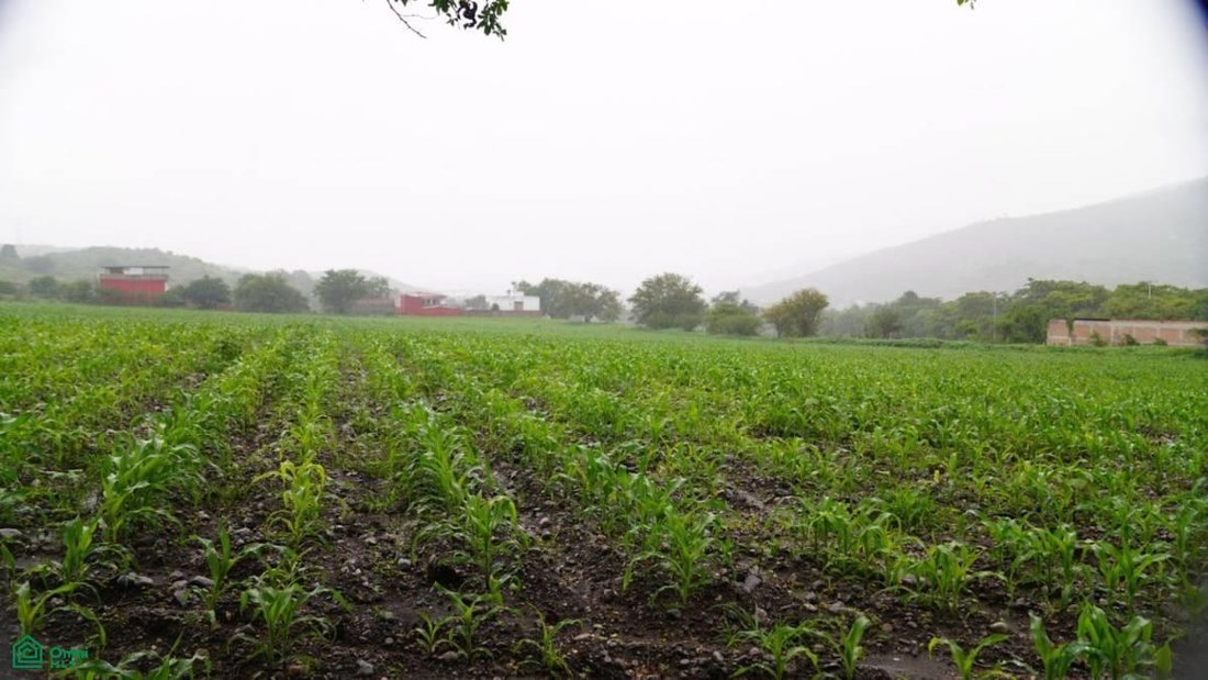 Land in Chilpancingo, Guerrero, Mexiko 2 - 17811104