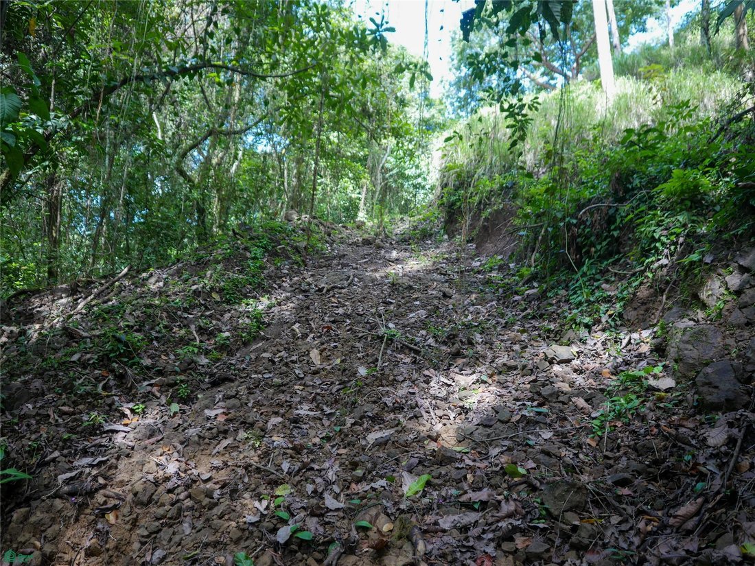 Terreno en Río Negro, Provincia de Puntarenas, Costa Rica 4 - 17810886