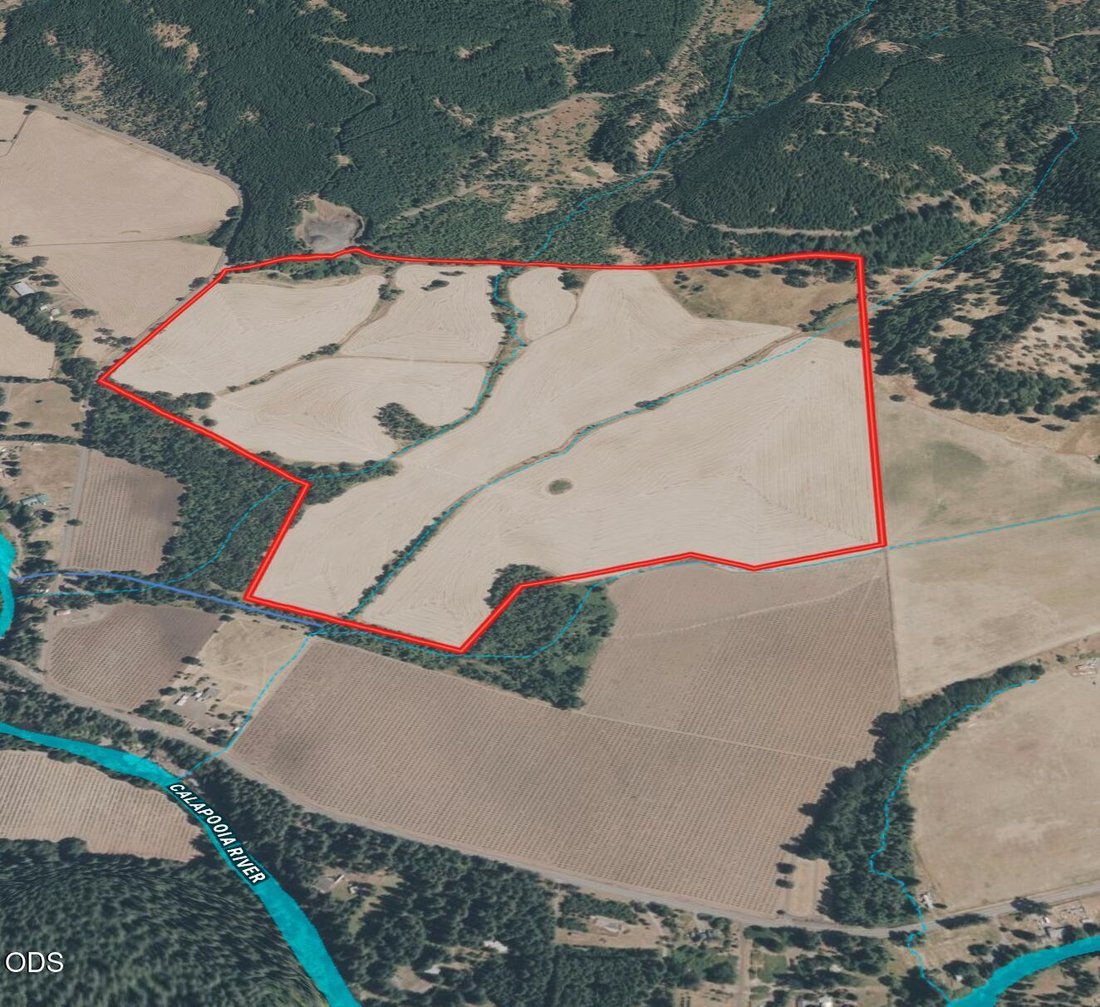 Azienda agricola a Brownsville, Oregon, Stati Uniti 3 - 18718073