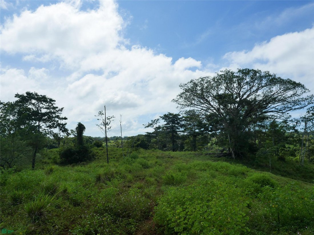 Terreno en Río Negro, Provincia de Puntarenas, Costa Rica 3 - 17810886