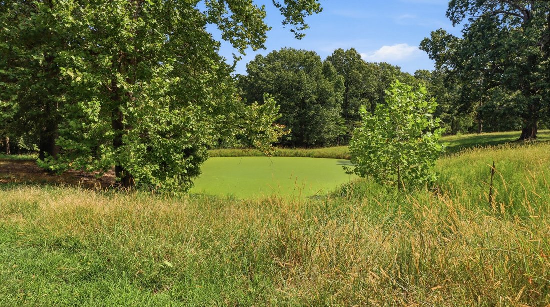 Farm Ranch in Caulfield, Missouri, United States 5 - 18718106