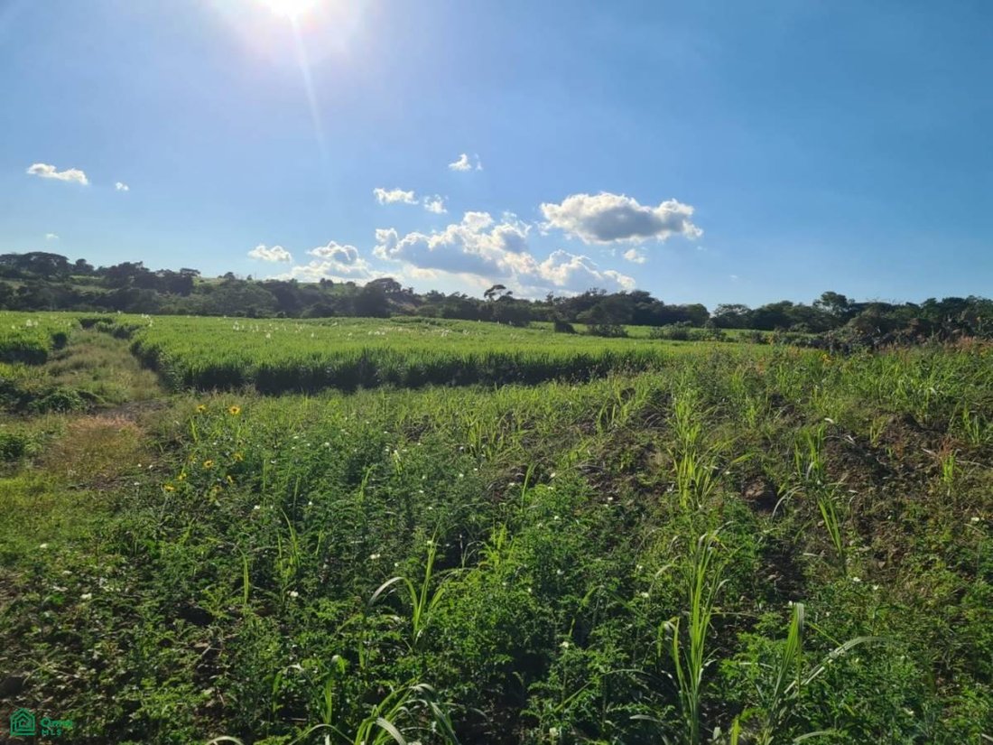 Land in Palmillas, Colima, Mexiko 5 - 17811025