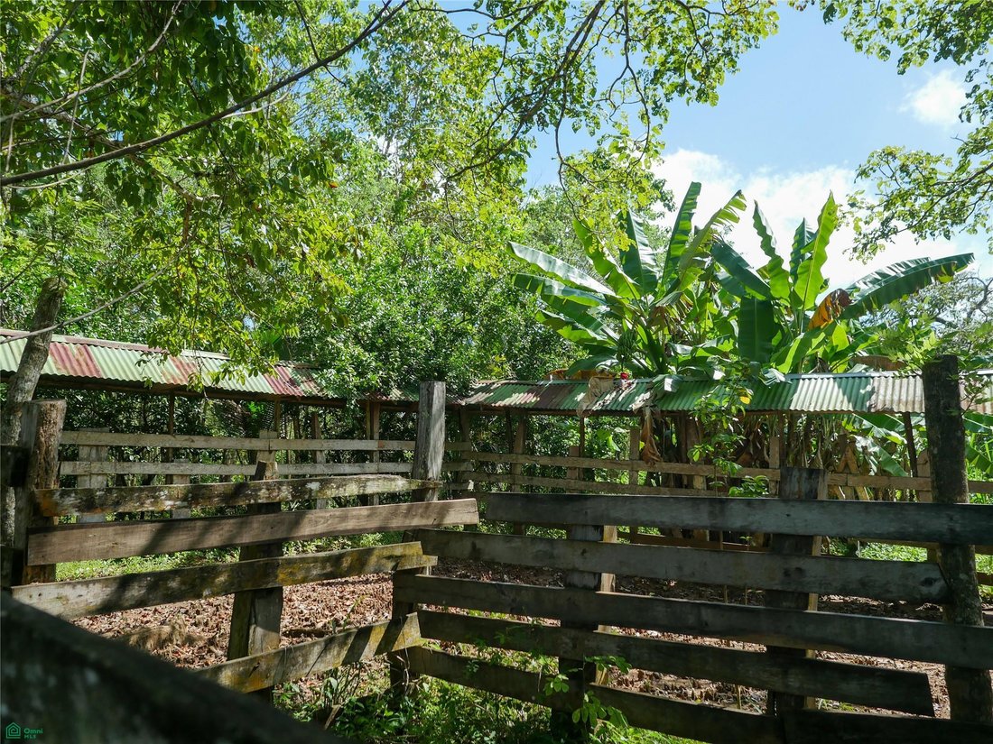 Terreno en Río Negro, Provincia de Puntarenas, Costa Rica 2 - 17810886