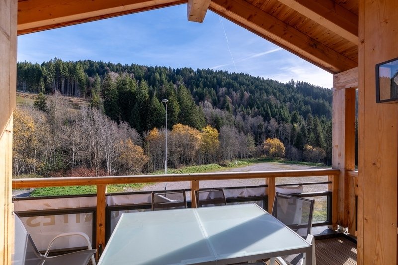 Apartment in Les Gets, Auvergne-Rhône-Alpes, France 3 - 18717121