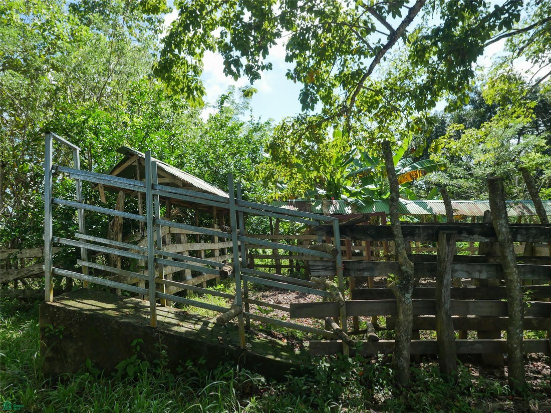 Terreno en Río Negro, Provincia de Puntarenas, Costa Rica 1 - 17810886