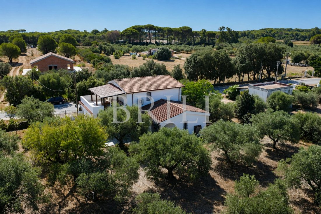 Haus in Orosei, Sardinien, Italien 3 - 18598660