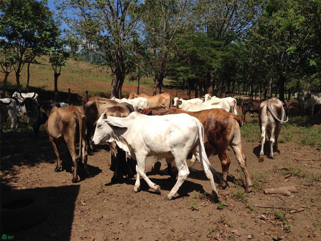 Land in Bejuco District, Guanacaste Province, Costa Rica 5 - 18386972