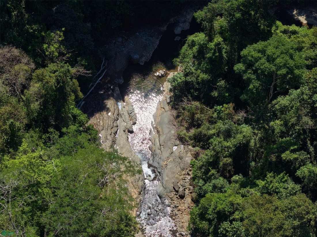 Land in Corredor, Corredores, Costa Rica 5 - 17903776