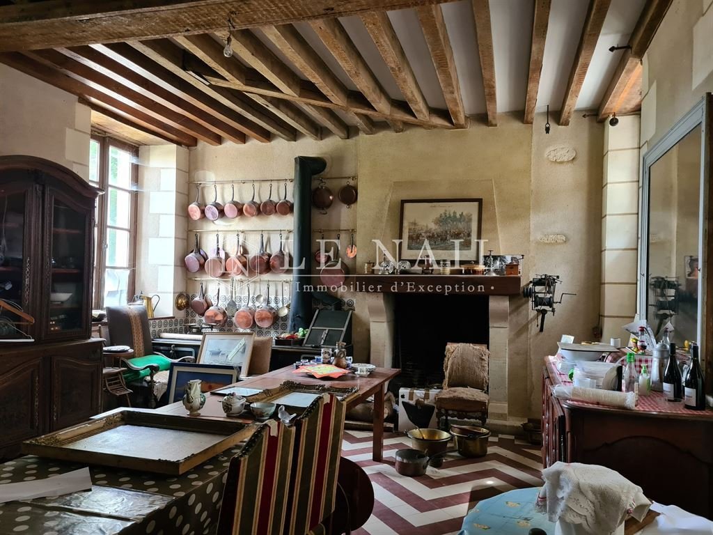Schloss in Illiers-Combray, Zentrum-Loiretal, Frankreich 4 - 15201379