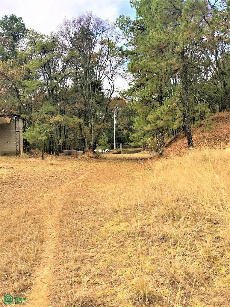 Land in Rancho Blanco Ejido de Espíritu Santo, State of Mexico, Mexico 1 - 17811110
