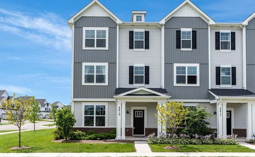 Maison de ville à Lisle, Illinois, États-Unis 1