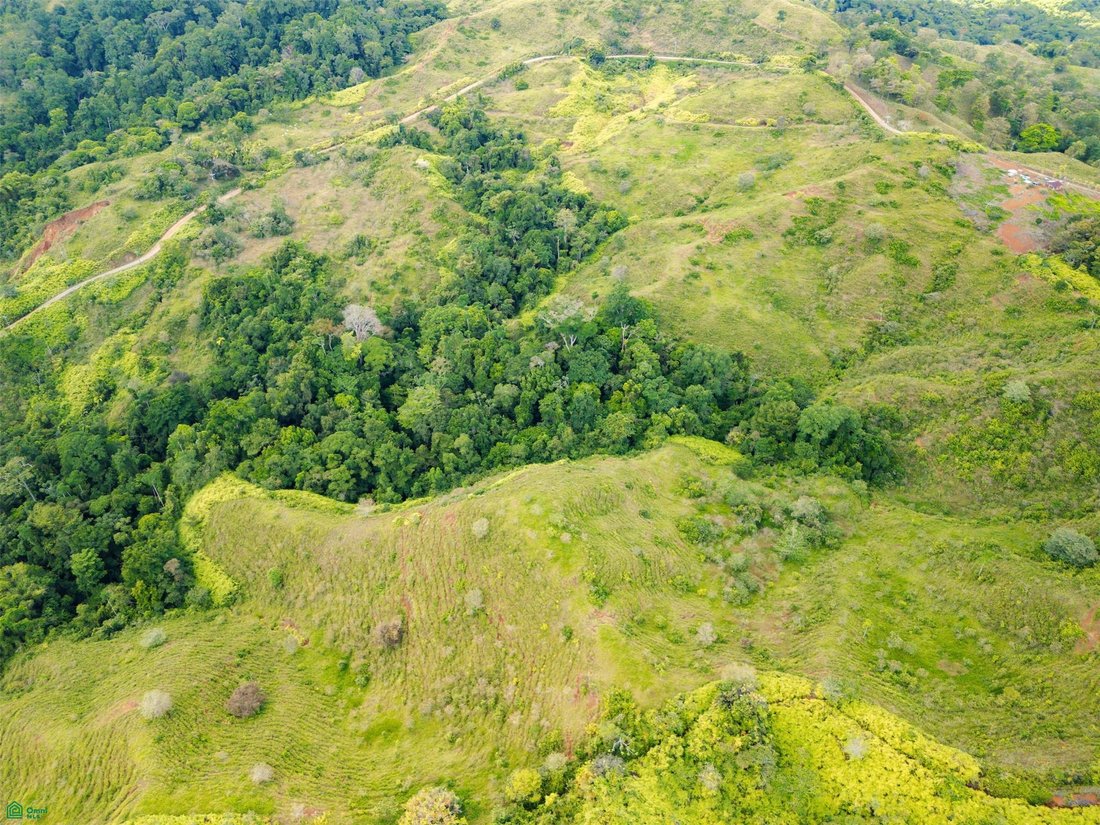 Terreno en Sierpe, Provincia de Puntarenas, Costa Rica 3 - 17810238