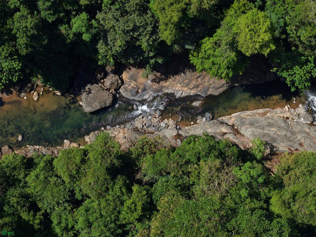 Land in Corredor, Corredores, Costa Rica 4 - 17903776