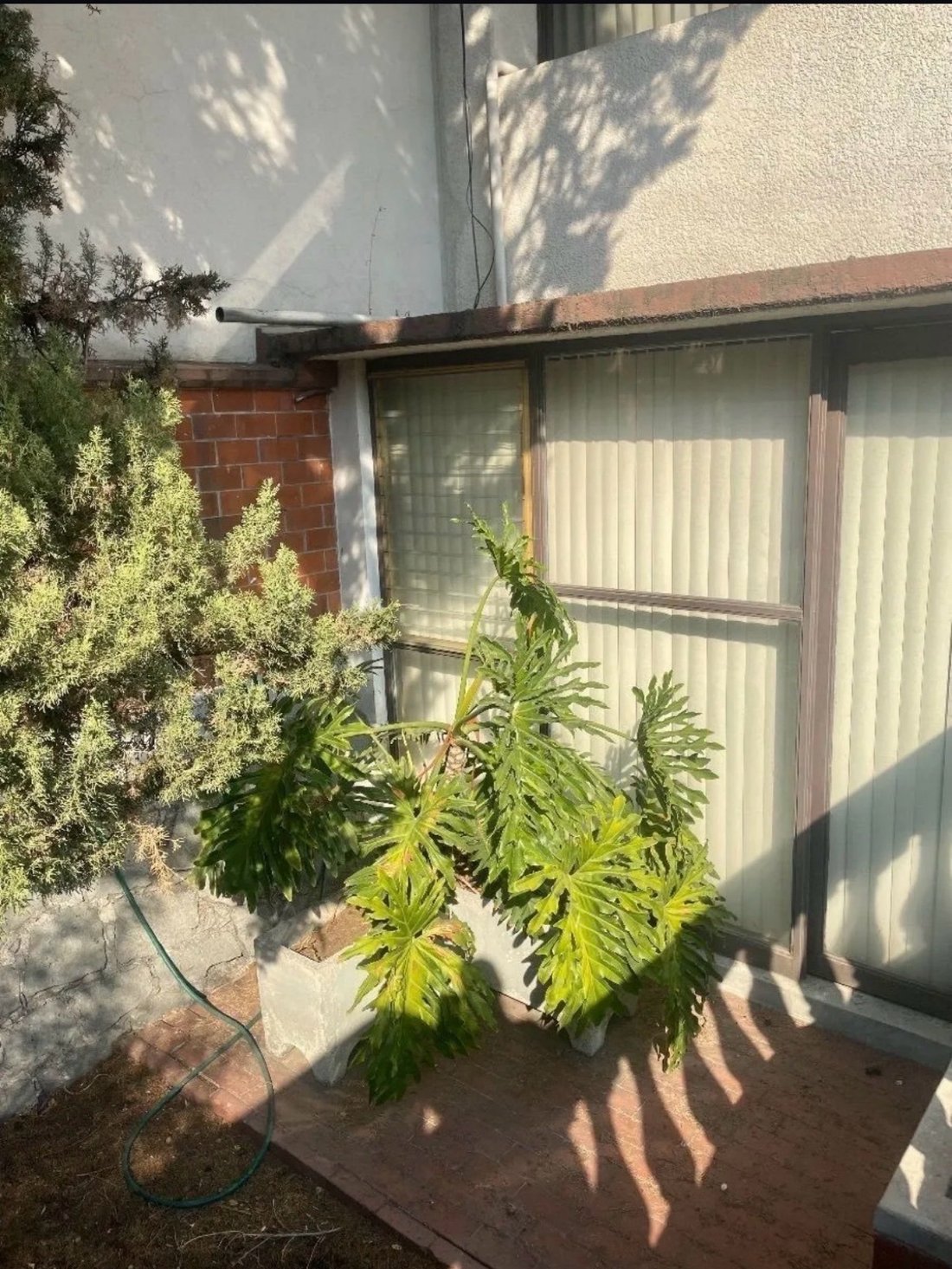 Haus in Naucalpan de Juárez, Bundesstaat Mexiko, Mexiko 4 - 18717787