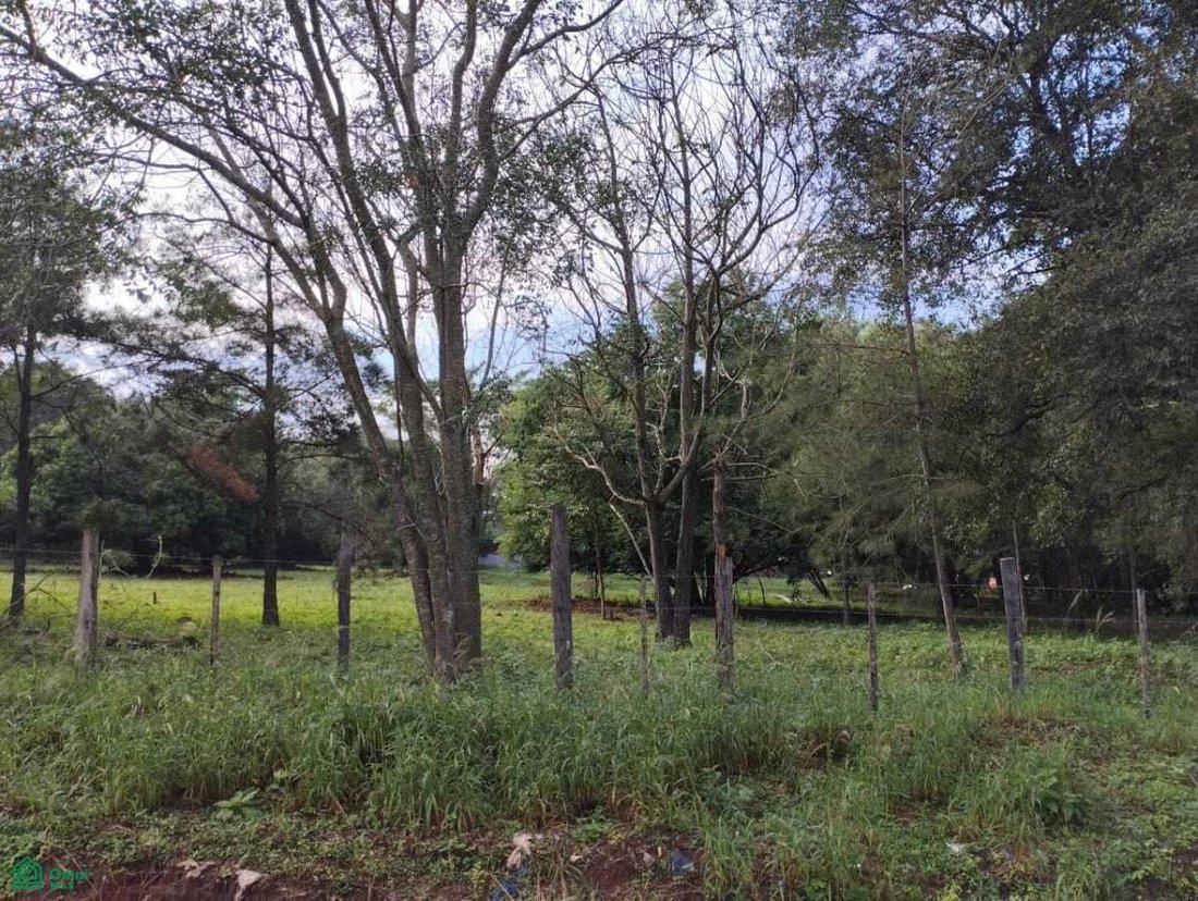 Terreno en Luque, Central, Paraguay 2 - 18535283