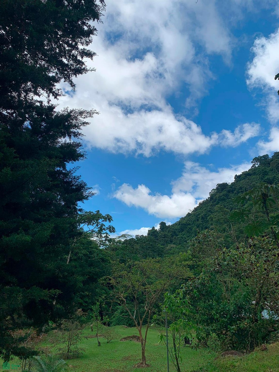 House in La Suiza, Cartago Province, Costa Rica 3 - 17919743
